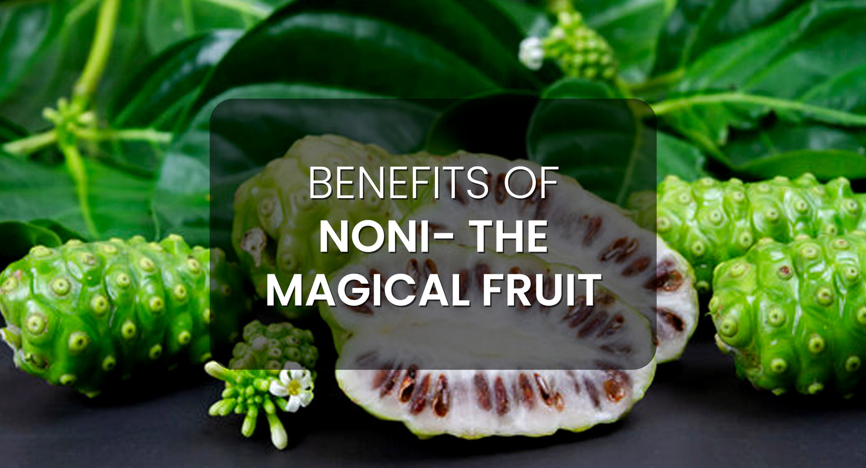 Benefits of noni