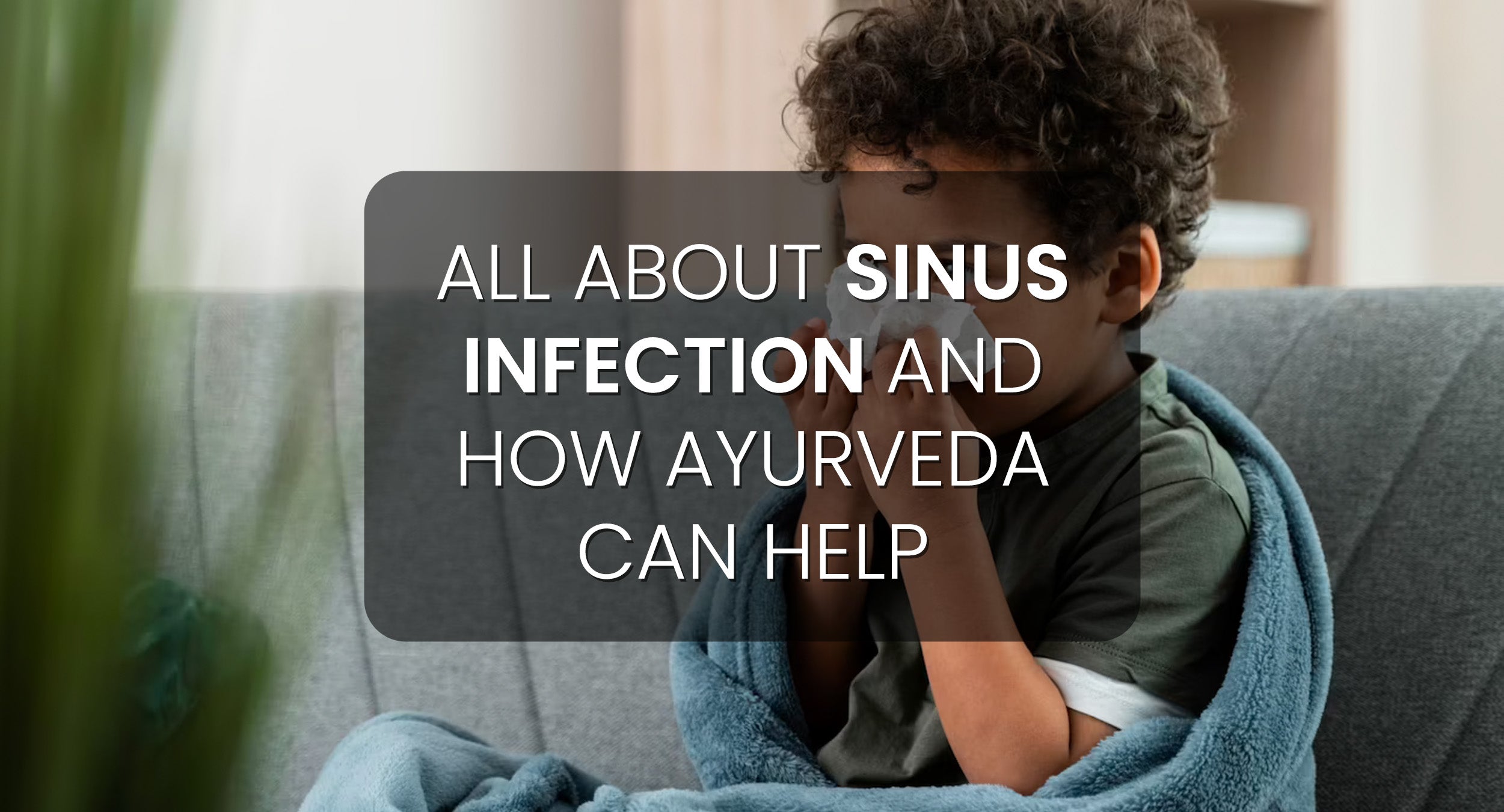 best ayurvedic medicine for sinus and allergy