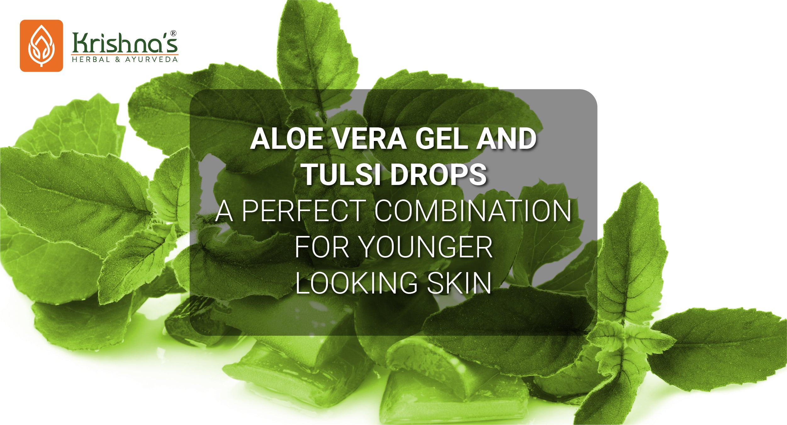 Aloe Vera Gel and Tulsi drops A perfect combination for Younger