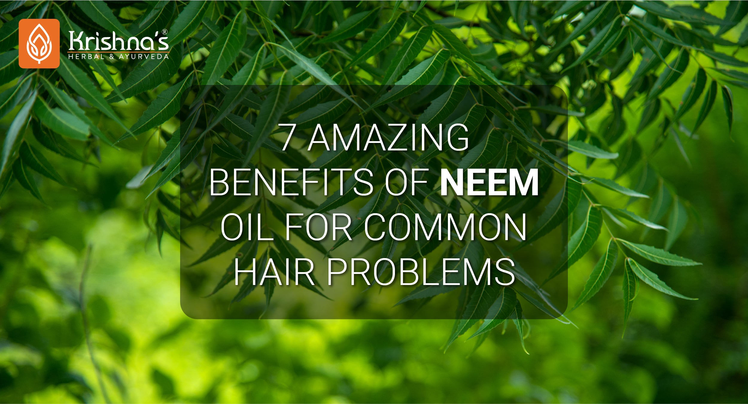 7 Amazing Benefits Of Neem Oil For Common Hair Problems – Krishna's ...