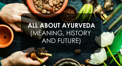 Ayurveda: A Holistic Approach to Health and Happiness