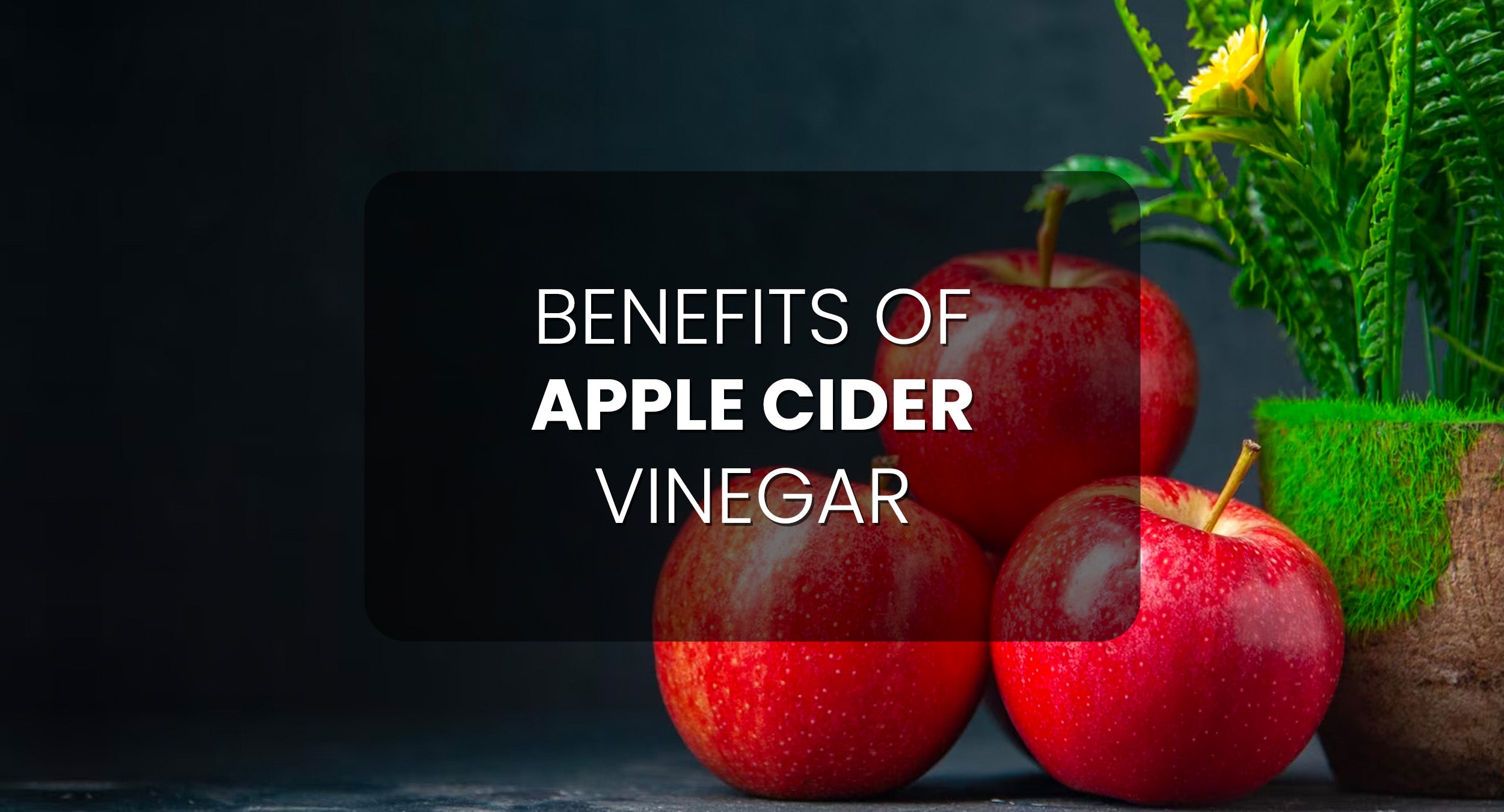 acv for weight loss