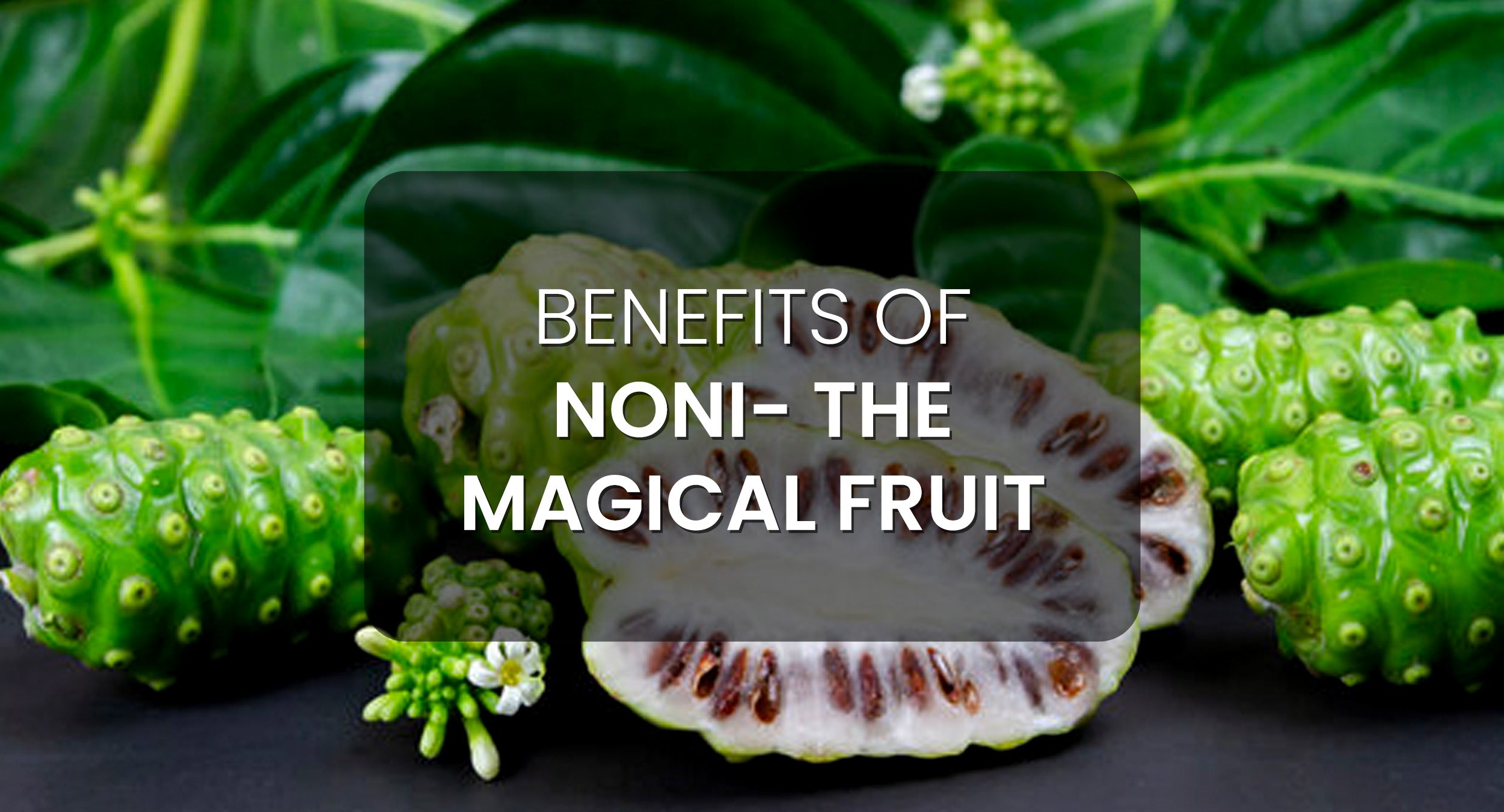 Benefits of noni