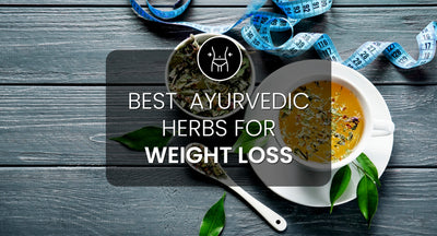 Best Ayurvedic Herbs for Weight Loss