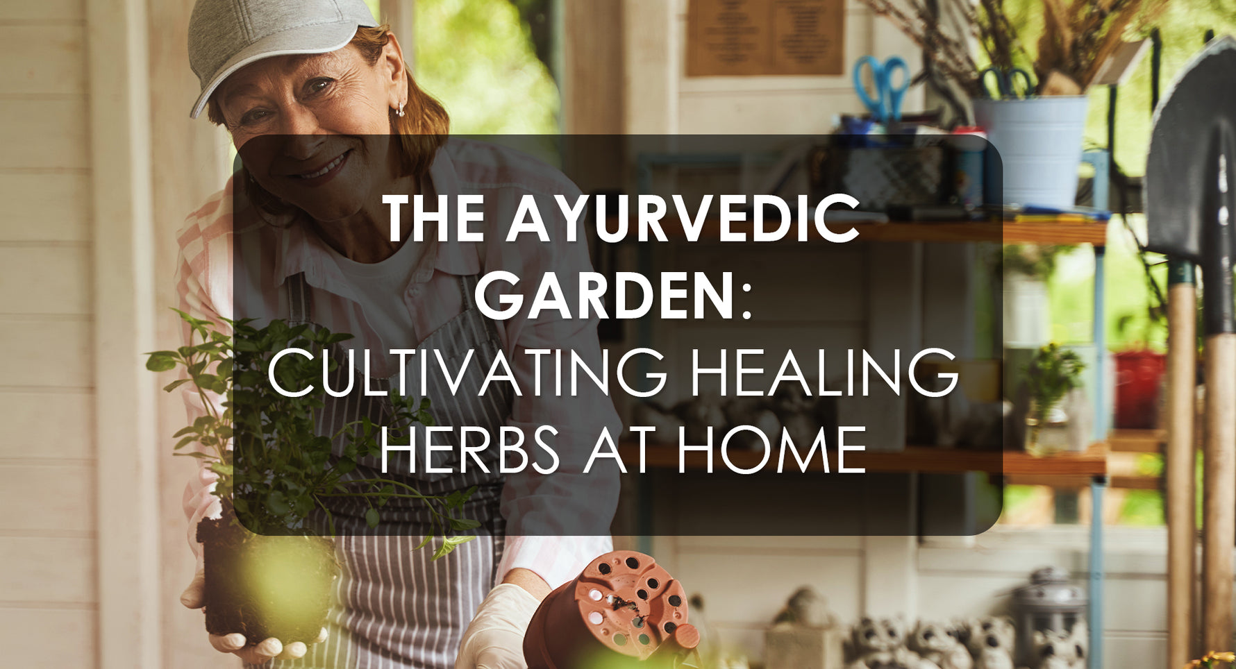 The Ayurvedic Garden: Cultivating Healing Herbs at Home
