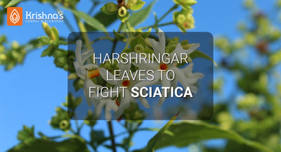 Harshringar leaves to fight sciatica