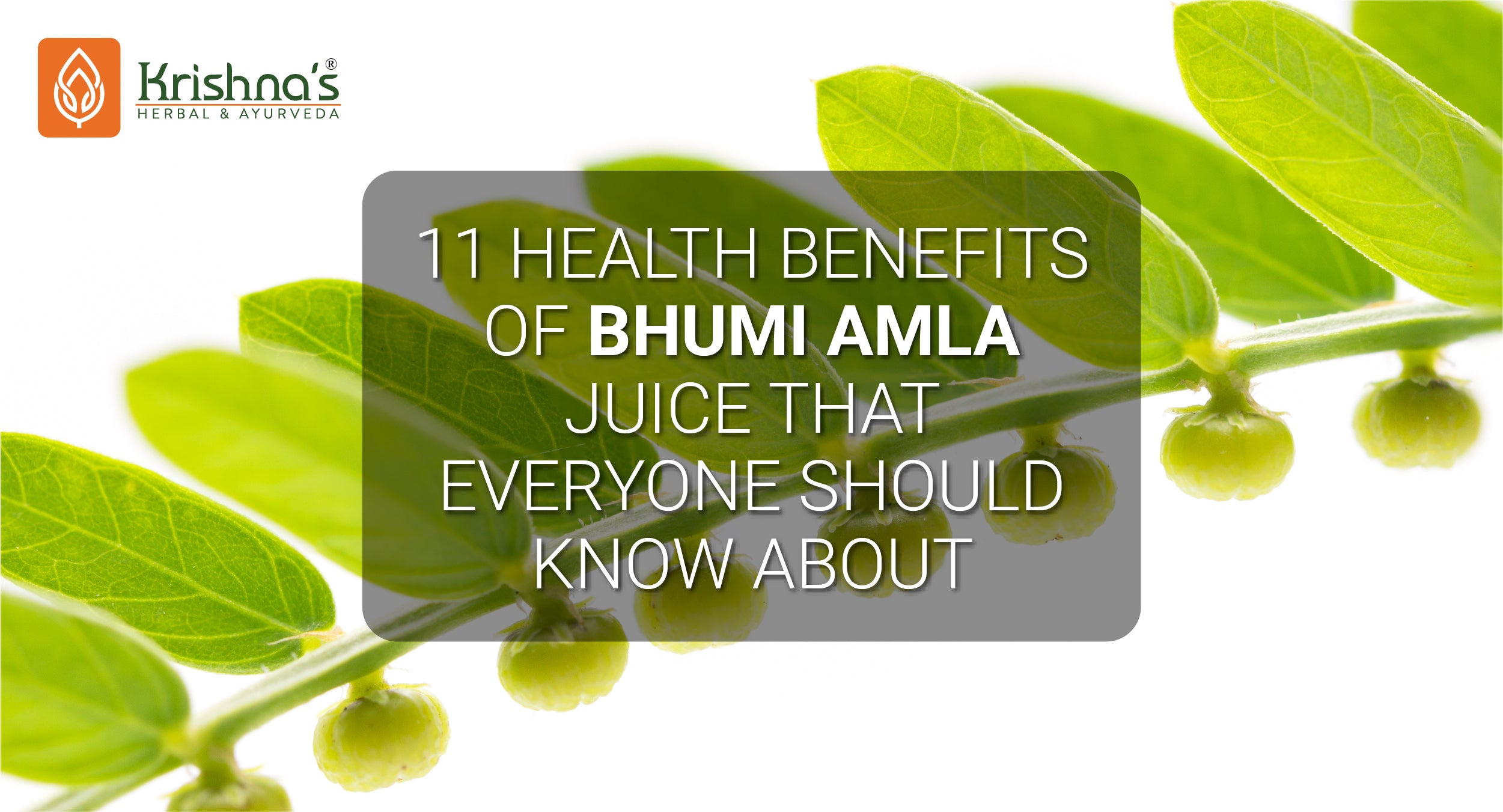 Bhumi Amla Juice