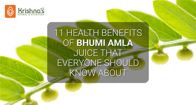 11 Health Benefits of Bhumi Amla Juice That Everyone Should Know About