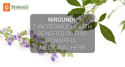 Nirgundi - 7 Incredible Health Benefits
