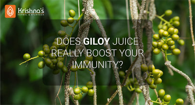 Does Giloy Juice Really Boost Your Immunity?