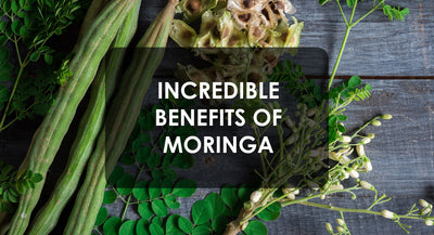 The Incredible Benefits of Moringa