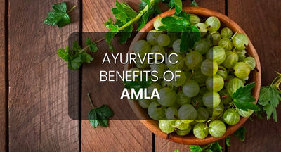 The Timeless Ayurvedic Benefits of Amla for Immunity, Digestion, and Radiant Health
