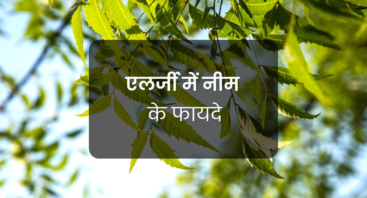 एलर्जी में नीम के चमत्कारी फायदे