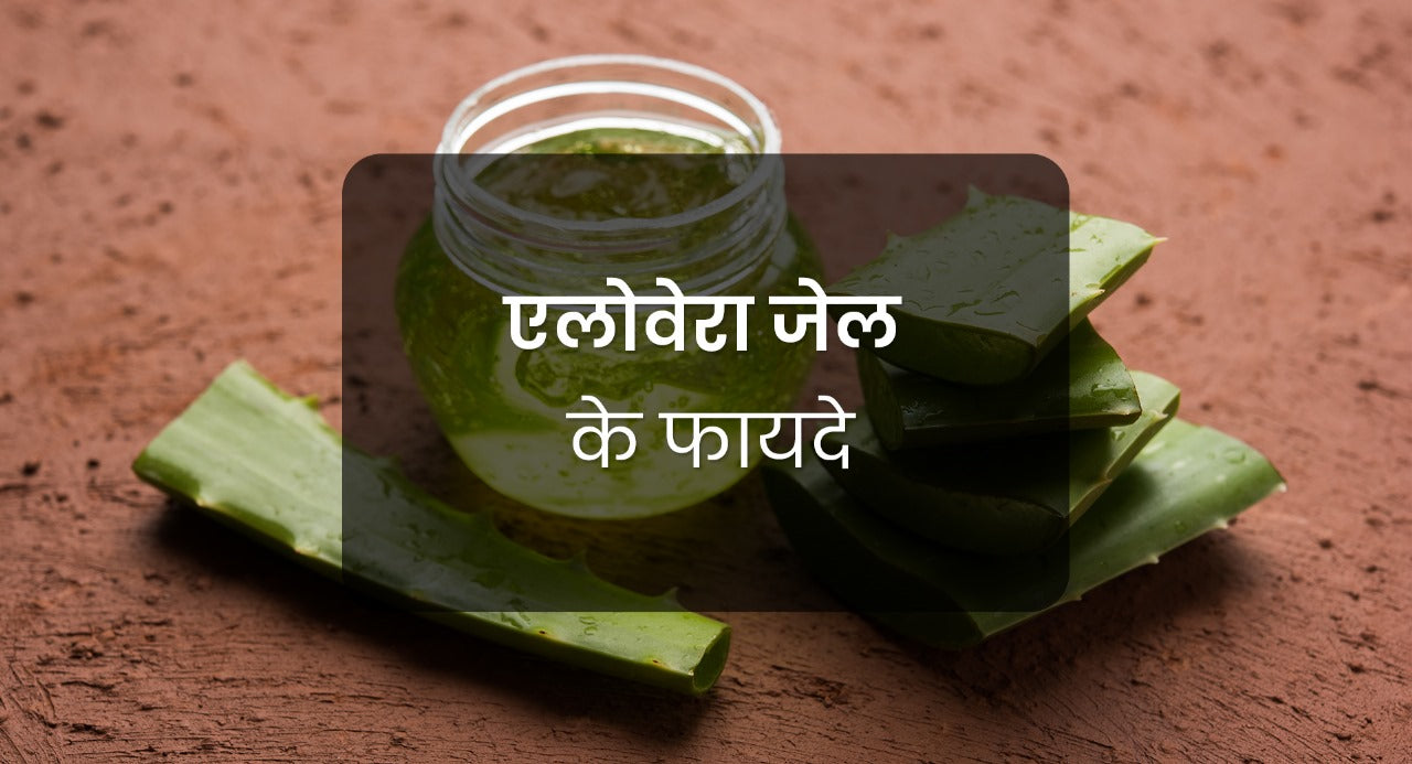 स्किन के लिए चमत्कारी है एलोवेरा जेल - जाने क्या है फायदे और इस्तेमाल करने का तरीका