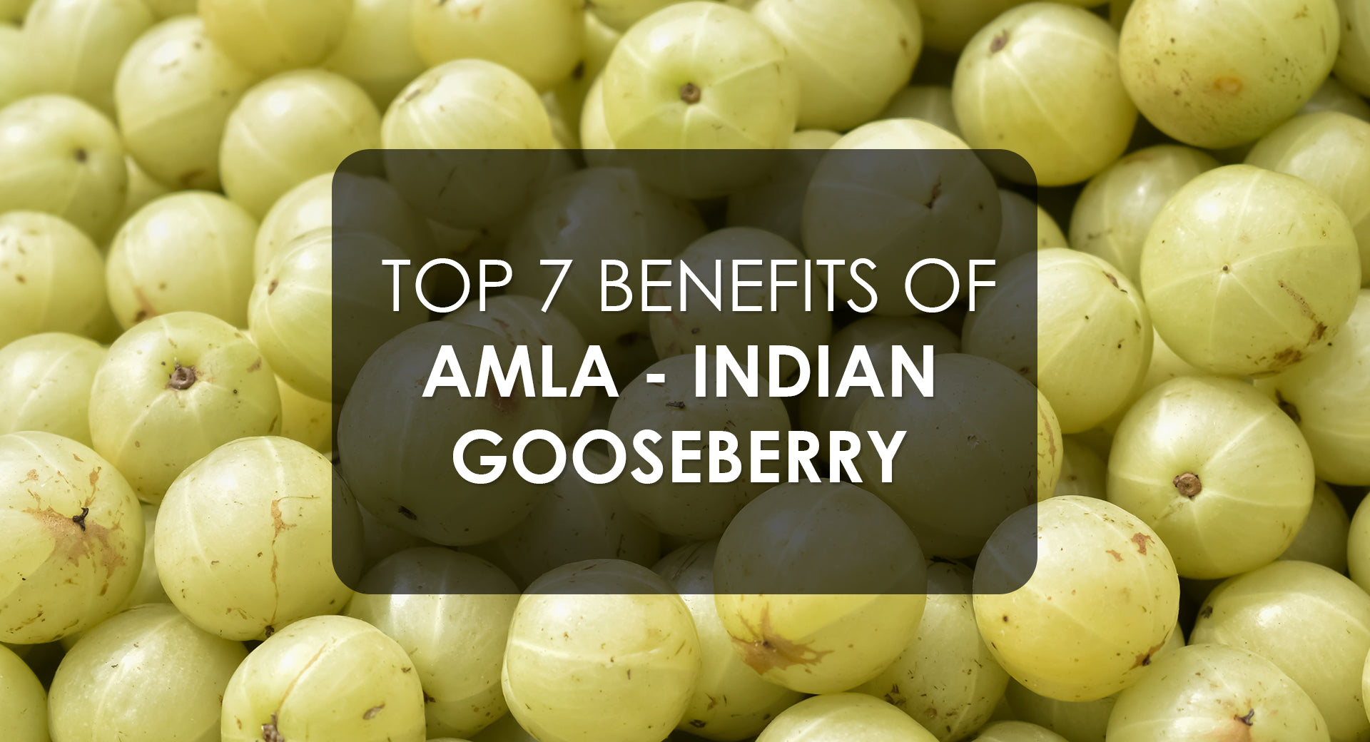 Top 7 Ayurvedic benefits of Amla – Krishna's Herbal & Ayurveda