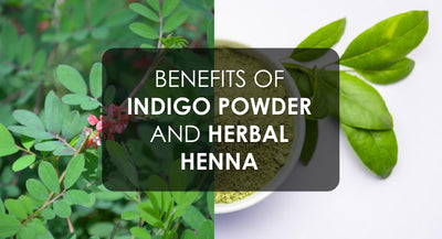 Best Ayurvedic Benefits of Indigo powder and herbal henna