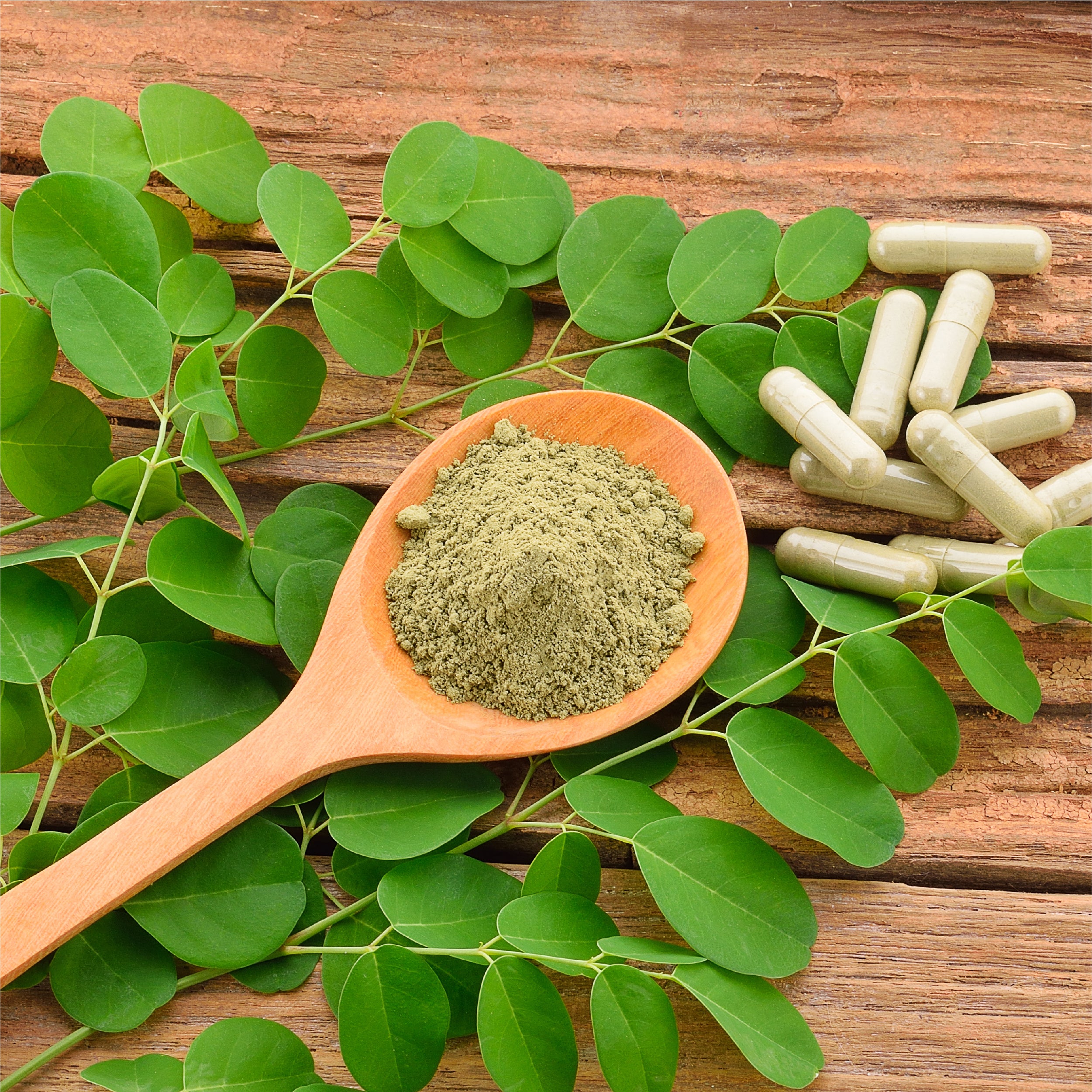 Harbal Powder Herbal Powders & Churna – Krishna's Herbal & Ayurveda
