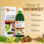 Benefits of Creatifix Juice 