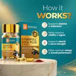 Benfits of Krishna's Stamifull Gold Plus