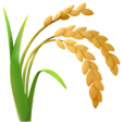 Herbal Powders & Churna
