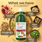 Key ingredients of Creatifix Juice