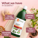 Ingredients of Sciatifix Juice
