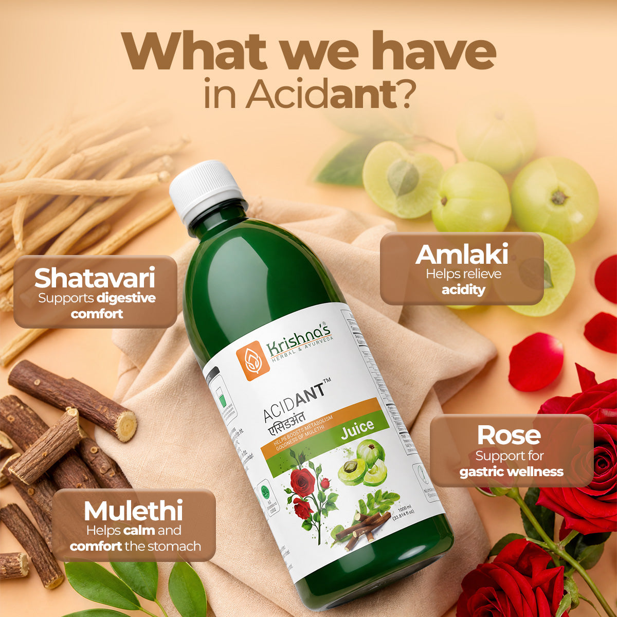 Key ingredients of Acidant juice